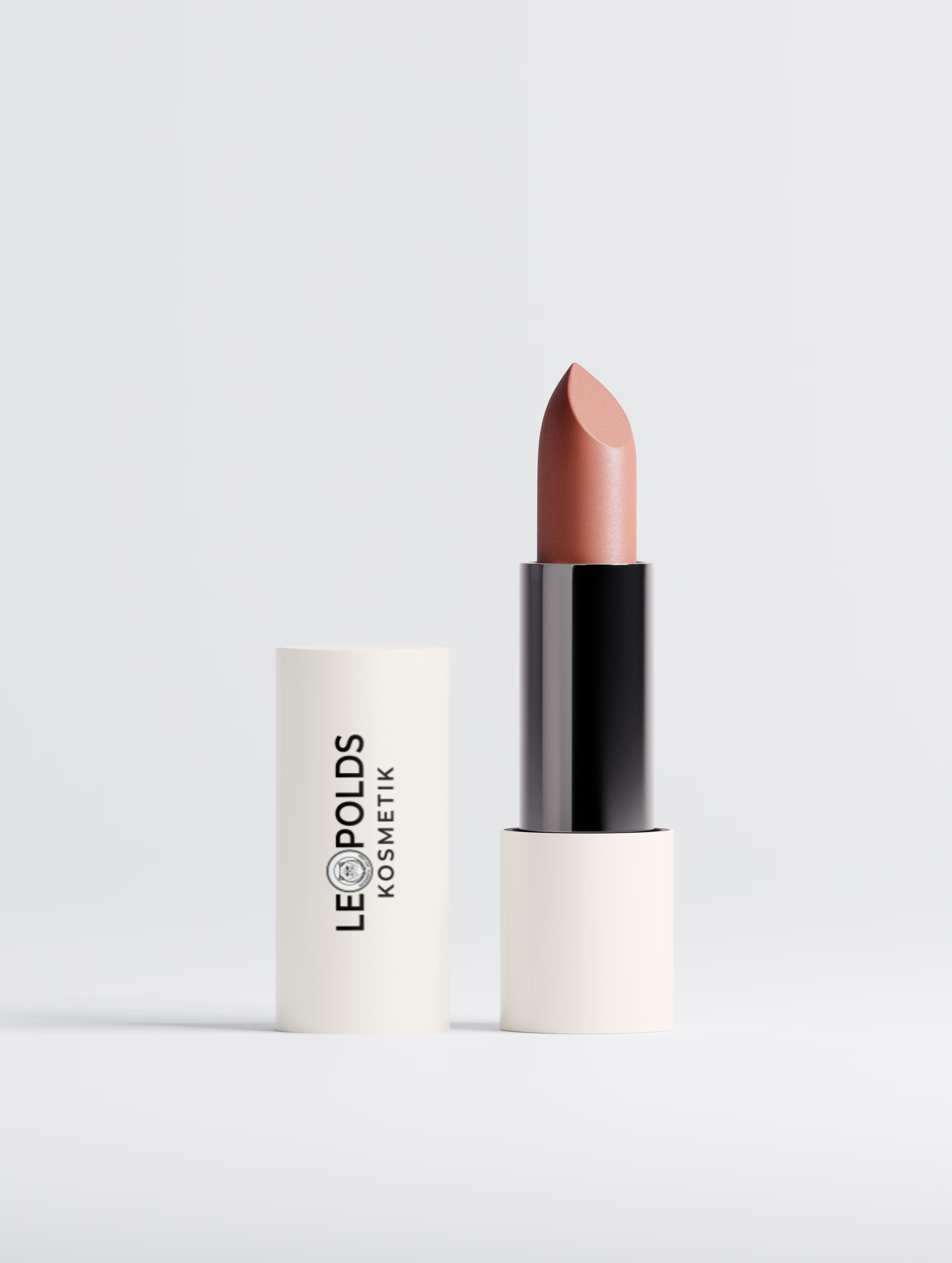 LIPPENSTIFT MATT Terracotta