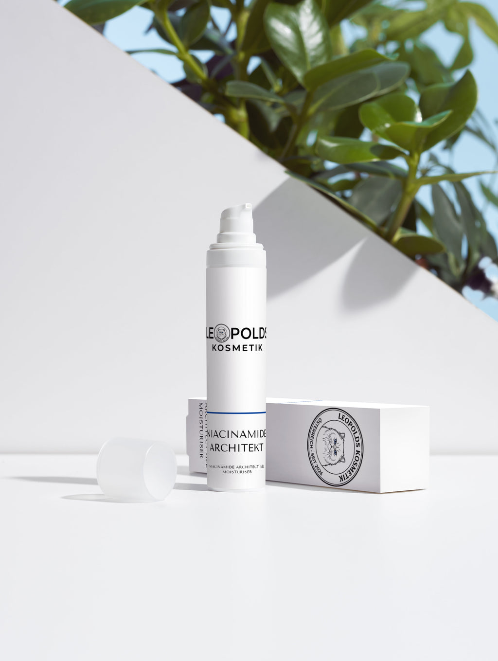 NIACINAMIDE ARCHITEKT